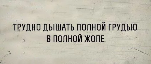 dcd4af.webp