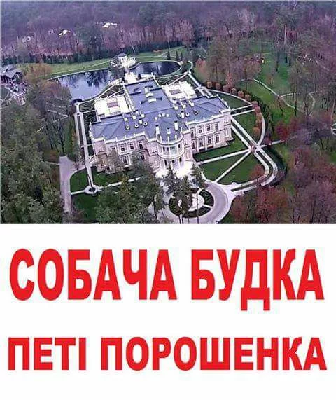 dcd5hg.webp