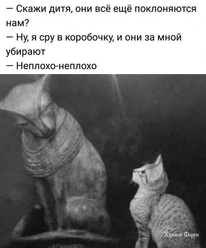 dcd9eb22f92b2c08018905d1.webp