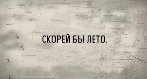 dcdcd8.webp