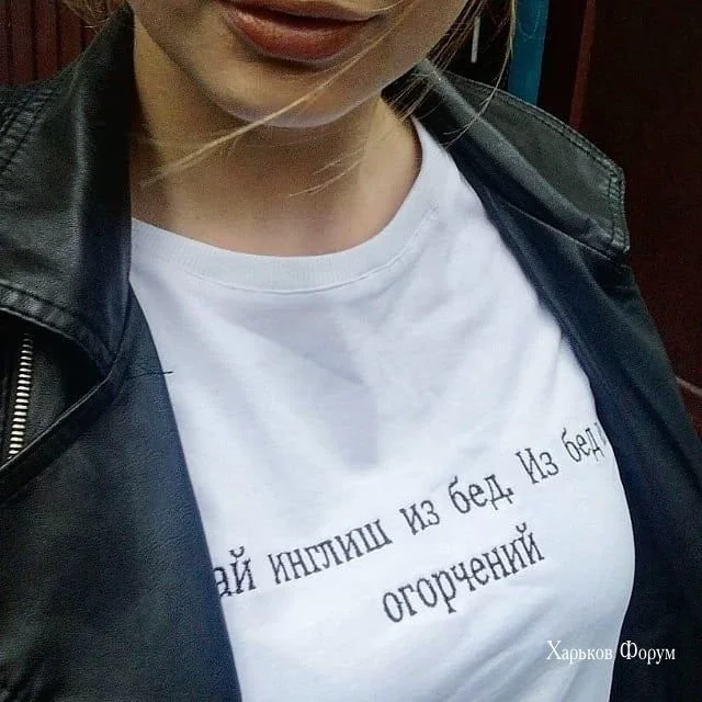 dcec28ff0cc2c03887fd.webp