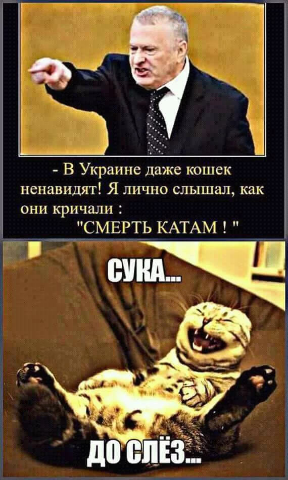 dcegj8.webp