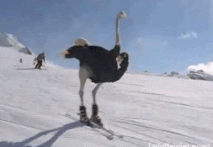 dcfed4.gif