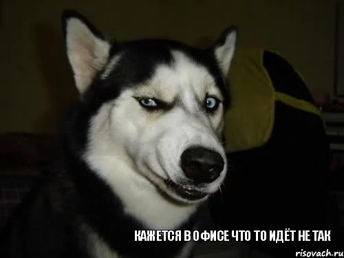 dcfhd9.webp