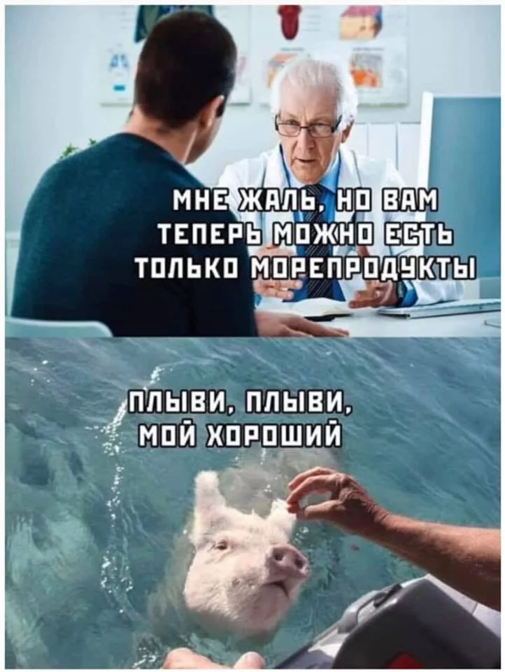 dcghe6.webp