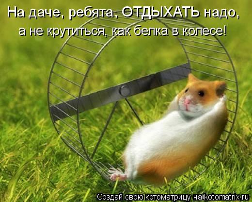 dch6fj.jpg