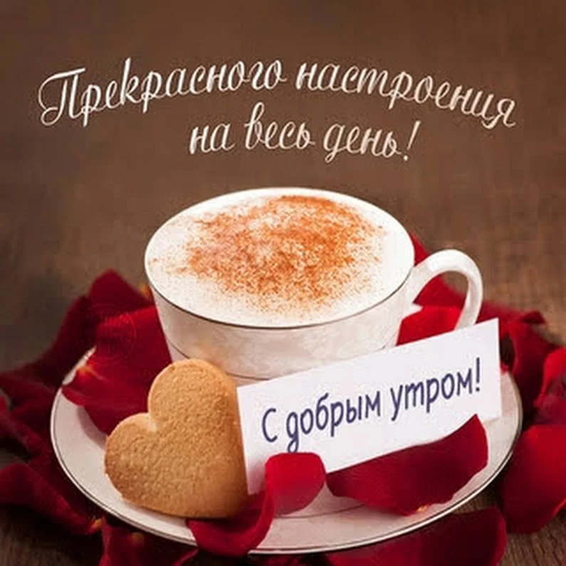 dcj1ag.webp