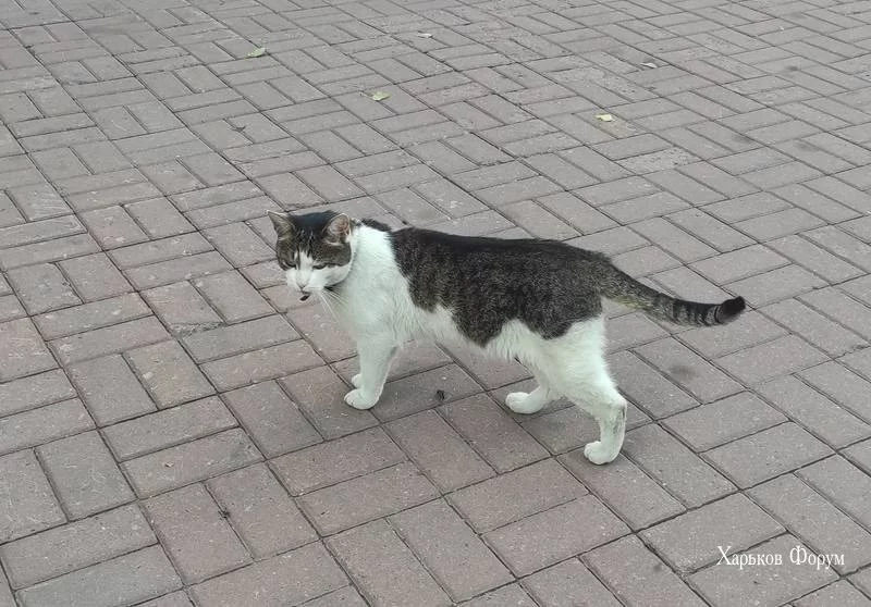 dd065e72c649e382.webp