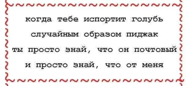 dd1a2ef1f26c18802e5418c.webp