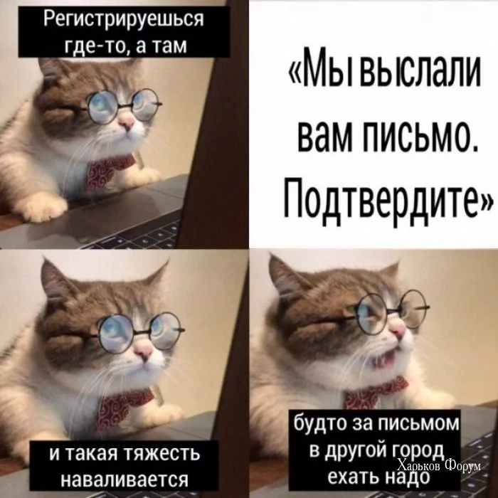 dd1bf2e93ce9f37afe272.webp
