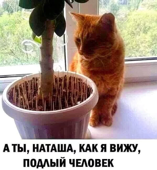 dd26bb47700c7f5197e8f0.webp