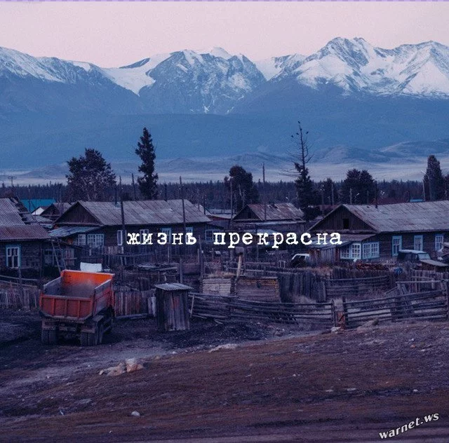 dd3jcg.webp