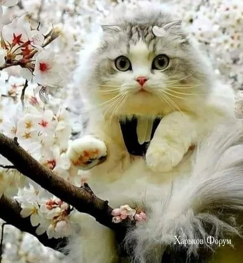 dd4864c28abc607b68bfe84.webp