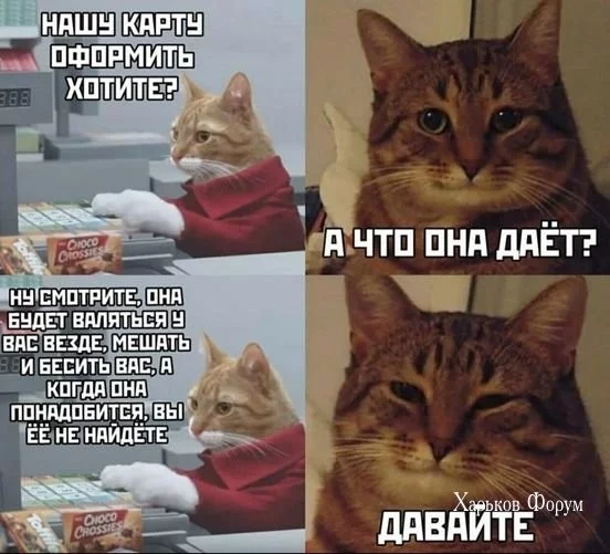 dd58c092a38827c57b56f.webp
