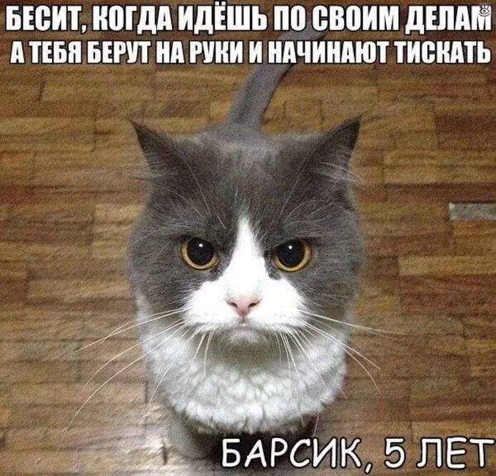 dd5ghb.webp