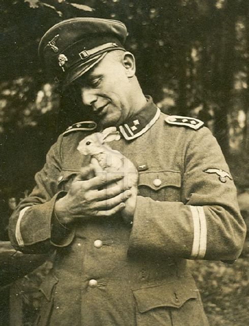 dd6bfe.jpg