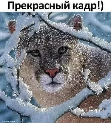 dd71780d438a8e6a69.webp