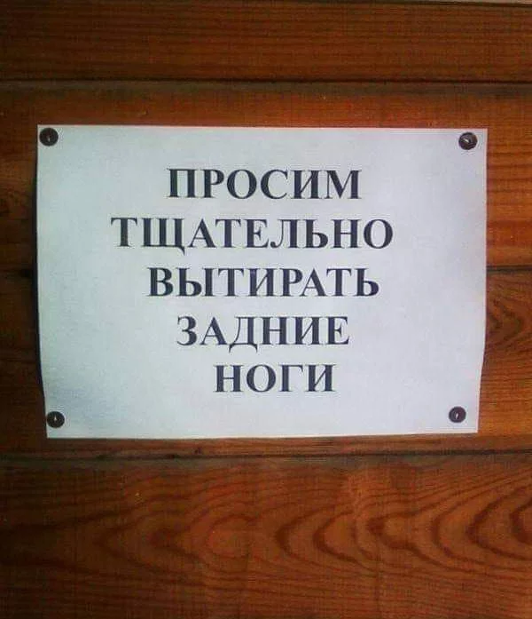dd7hag.webp