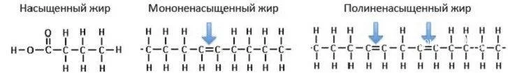 dd8e6b2458fd6f8d.webp