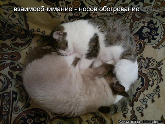 dd918a31d3db0bc953c203f472a0c316.jpg