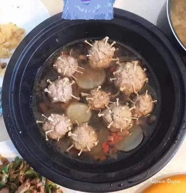 dd9bc3a81b19ff509.webp