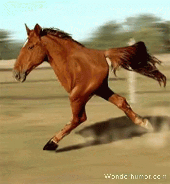 dd9c38e314bc96201cdfd.gif