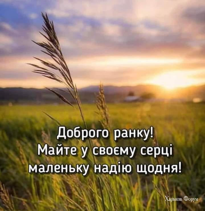 dda217093dda8be02b.jpg