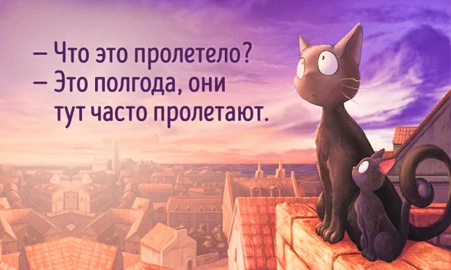 ddahd0.webp