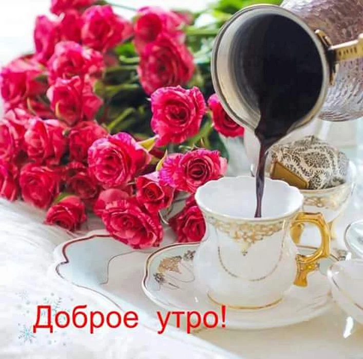 ddb2fh.webp