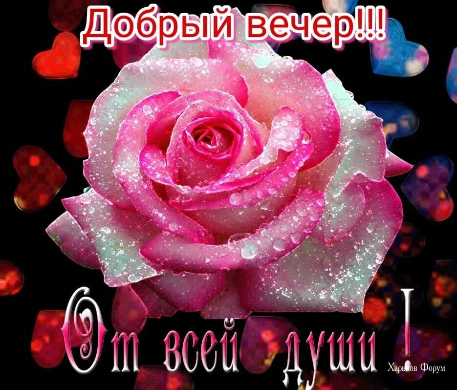 ddba9785acf2c0fcfbe.webp