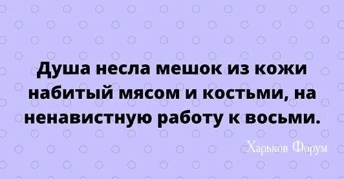 ddbf878848e8bef0195bfaa2.webp