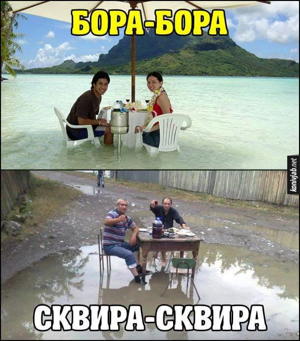 ddc5ff.webp