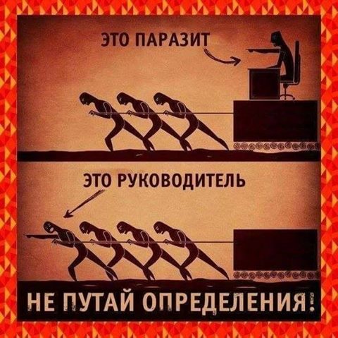 ddc9ch.jpg
