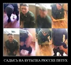 dddbd5.webp