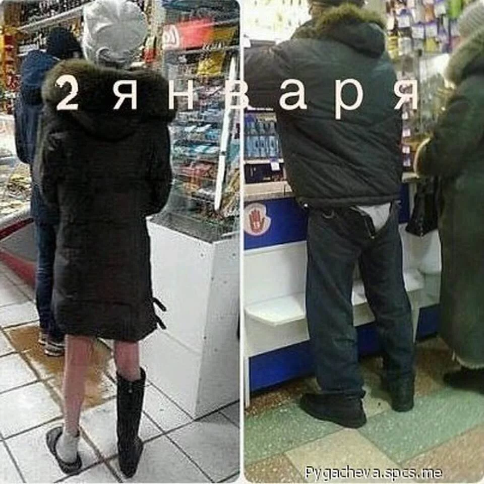dddgd7.webp
