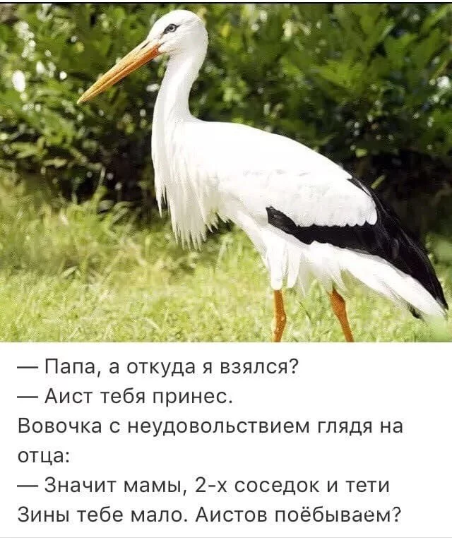 dde753c28aba758dcb2.webp