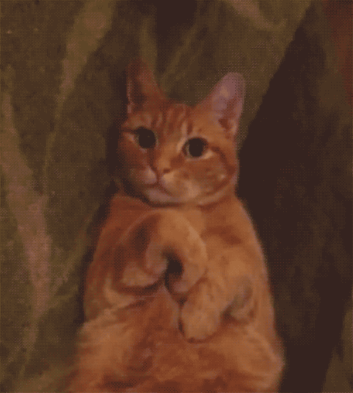 ddef2c.gif