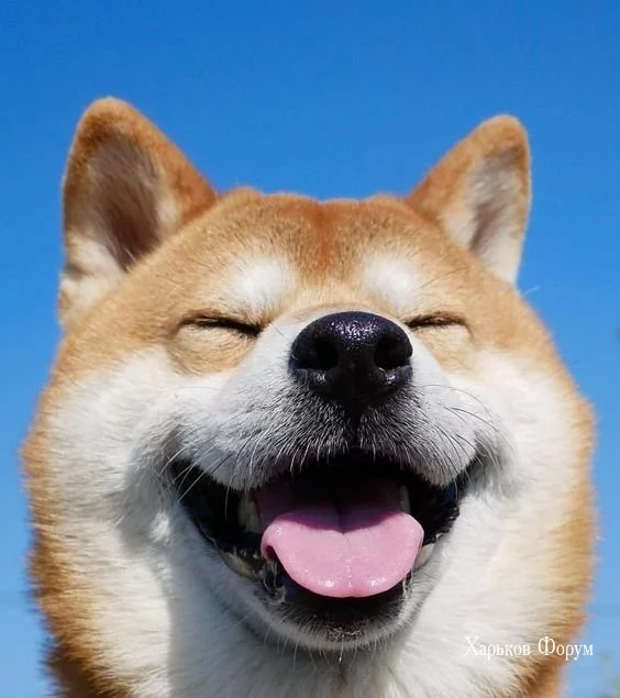 ddf07e7d4694b66ad.webp