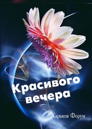 ddf15e6e8261bd128a1de.jpg