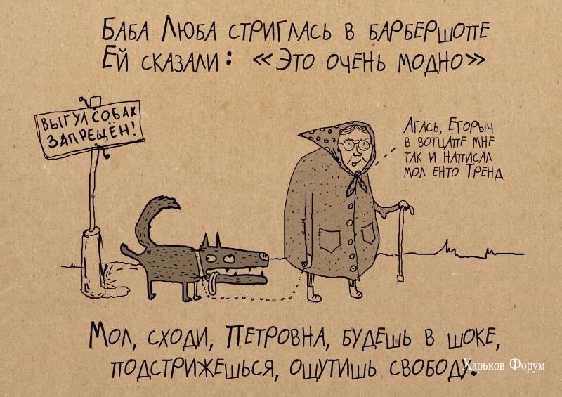 ddf24c02113d01e5d.webp