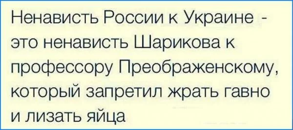 ddfhf9.webp