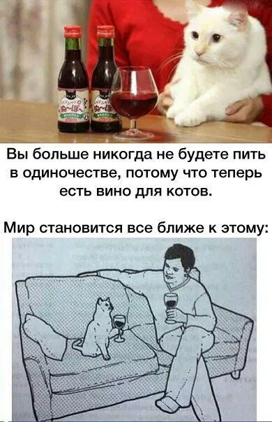 ddjjd9.webp