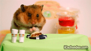 de0672e8bedef53a1234a9f.gif