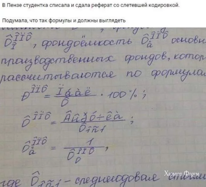 de115333e78a5a71216.webp