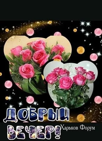 de20b4fdfe5a716cbd977.webp