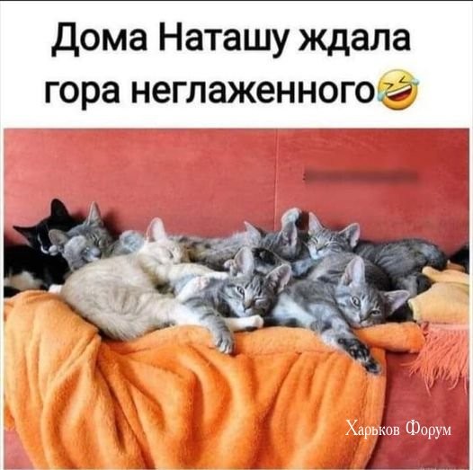 de2499470d77b87a159.jpg