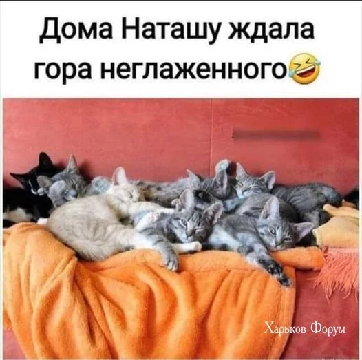 de2499470d77b87a159.webp
