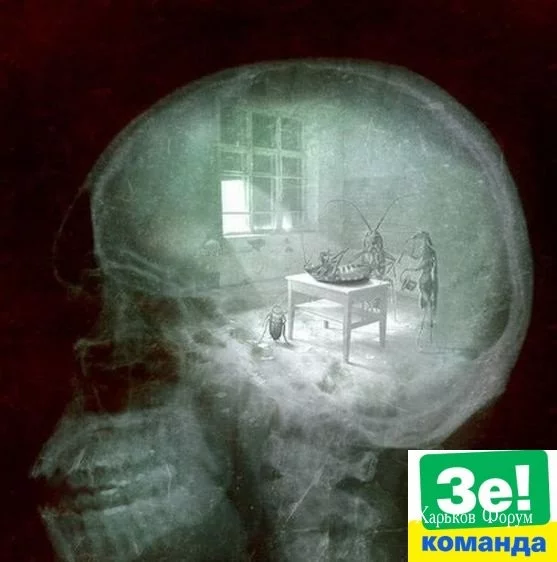 de2655a08910b2290500f3.webp