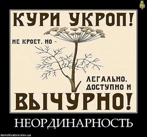 de52000ab1.webp
