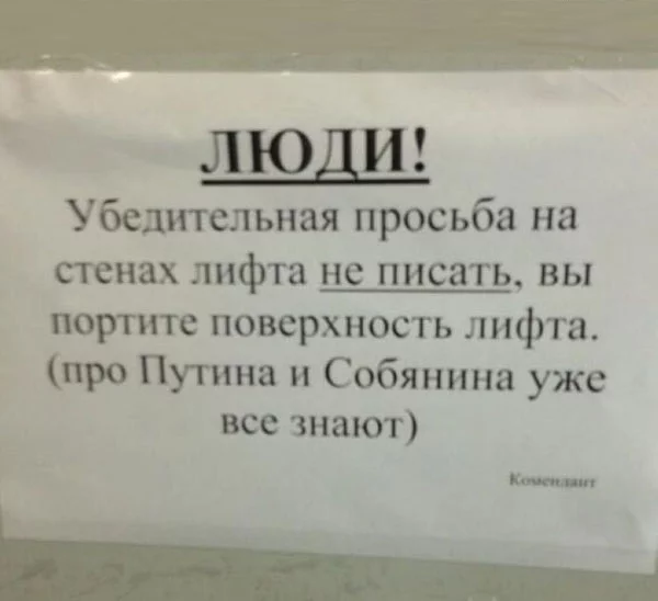 de5cd6b85355f4784876f0602a54be54.webp